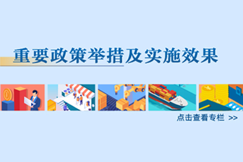 重要政策舉措及實施效果